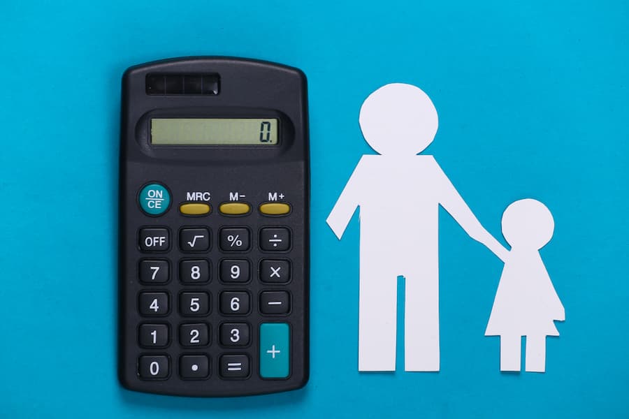 Child Maintenance Service Inquiry