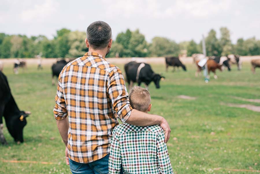 A farmer and his young son viewed from behind as they look over a field full of cows