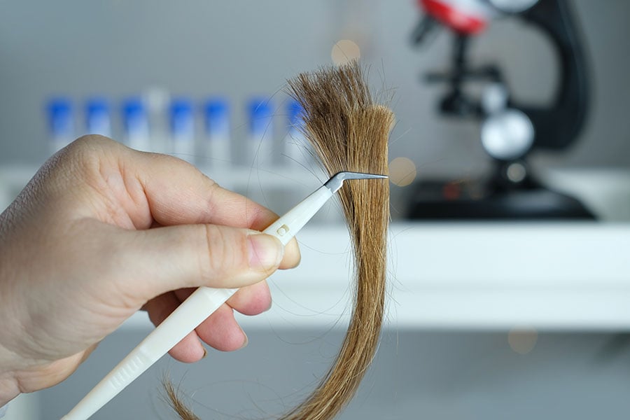 A strand of hair being held up with medical tweezers in a lab setting